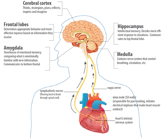 Hydrothermal vent communities