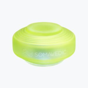 Somavedic Traveler